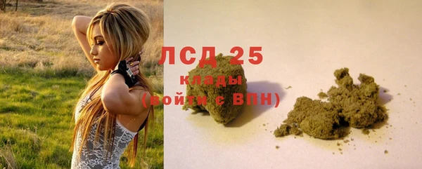 PSILOCYBIN Белокуриха
