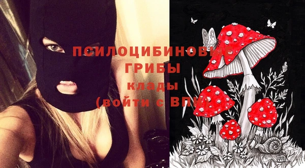 PSILOCYBIN Белокуриха