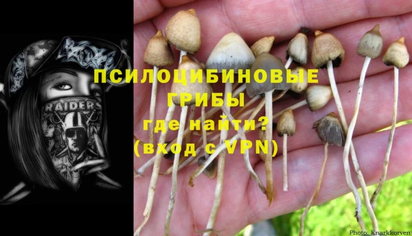 PSILOCYBIN Белокуриха