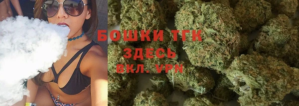 PSILOCYBIN Белокуриха