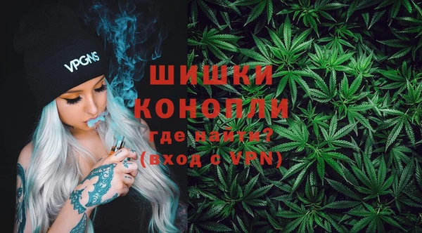 PSILOCYBIN Белокуриха
