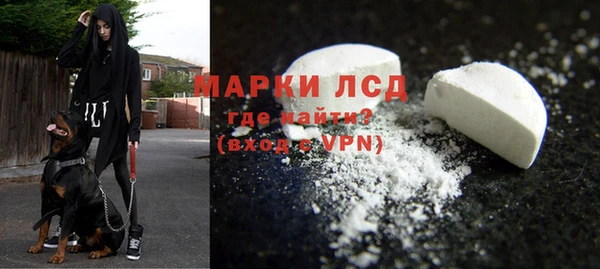 PSILOCYBIN Белокуриха