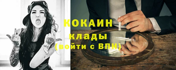 PSILOCYBIN Белокуриха