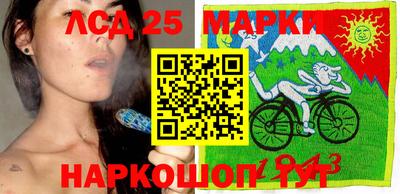 молекула духа Будённовск